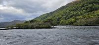 PICTURES/Killarney National Park - Ross Castle & Lough Leane/t_20250926_110033.jpg